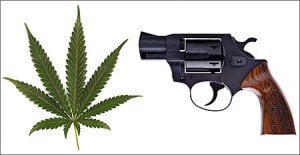 marijuana gun rights - san pedro criminal law attorney don hammond